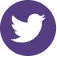 twitter of sasidiary